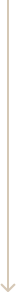 Scroll Down